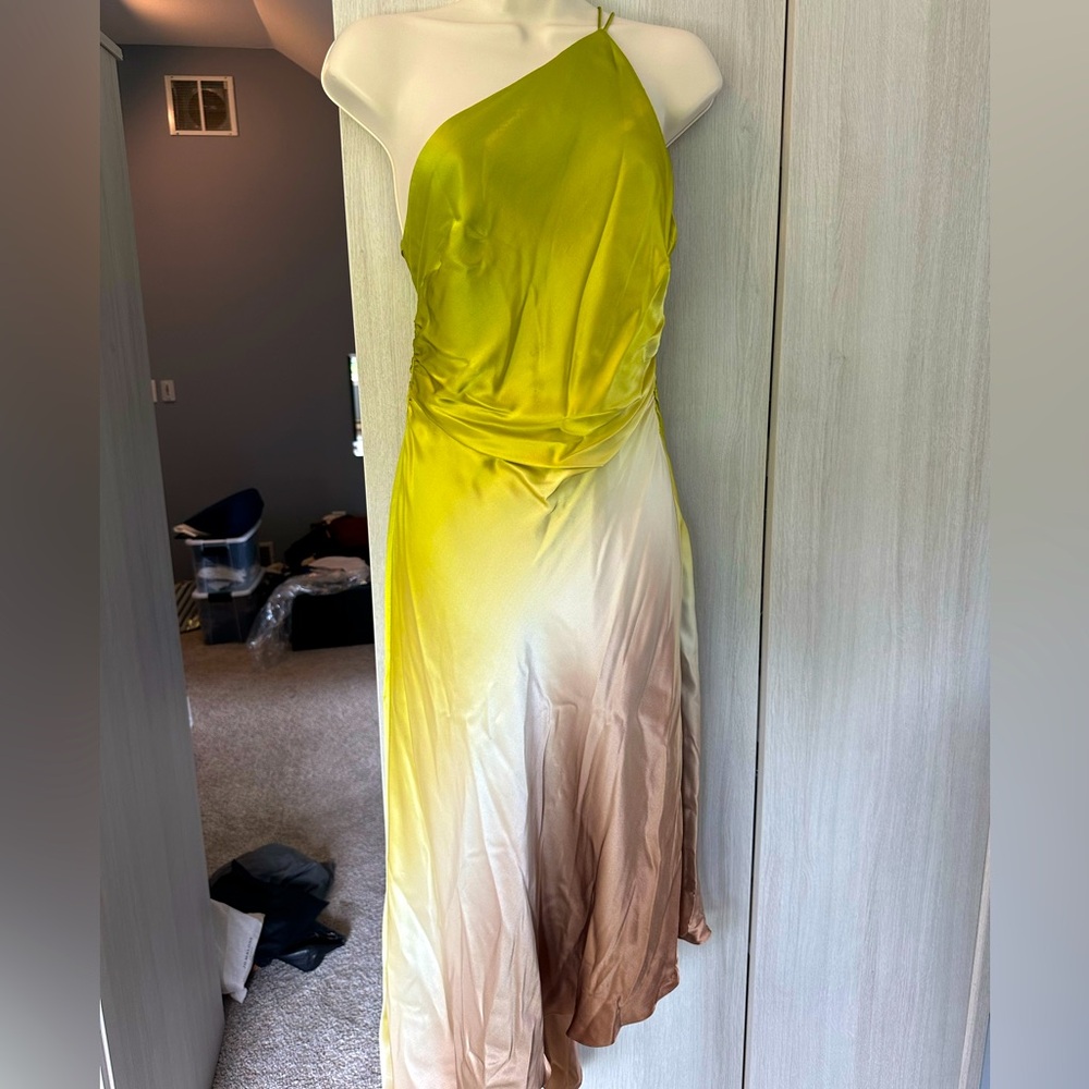 Kay Unger 100% Silk ombré dress